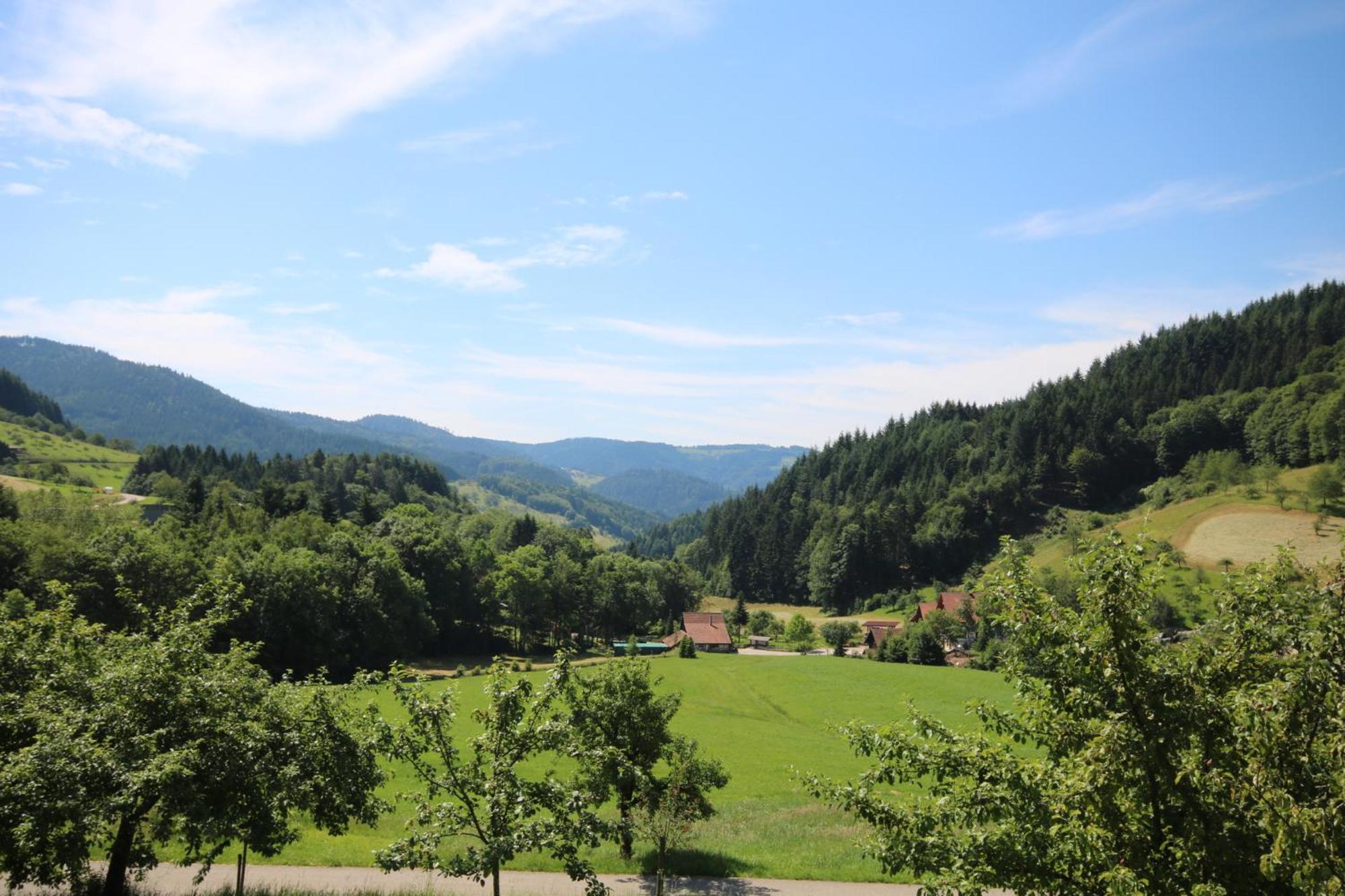 Willa Kasimir Hof Seebach Zewnętrze zdjęcie